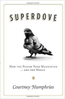 Superdove: How the Pigeon Took Manhattan…And the World